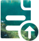 公司无需申报
